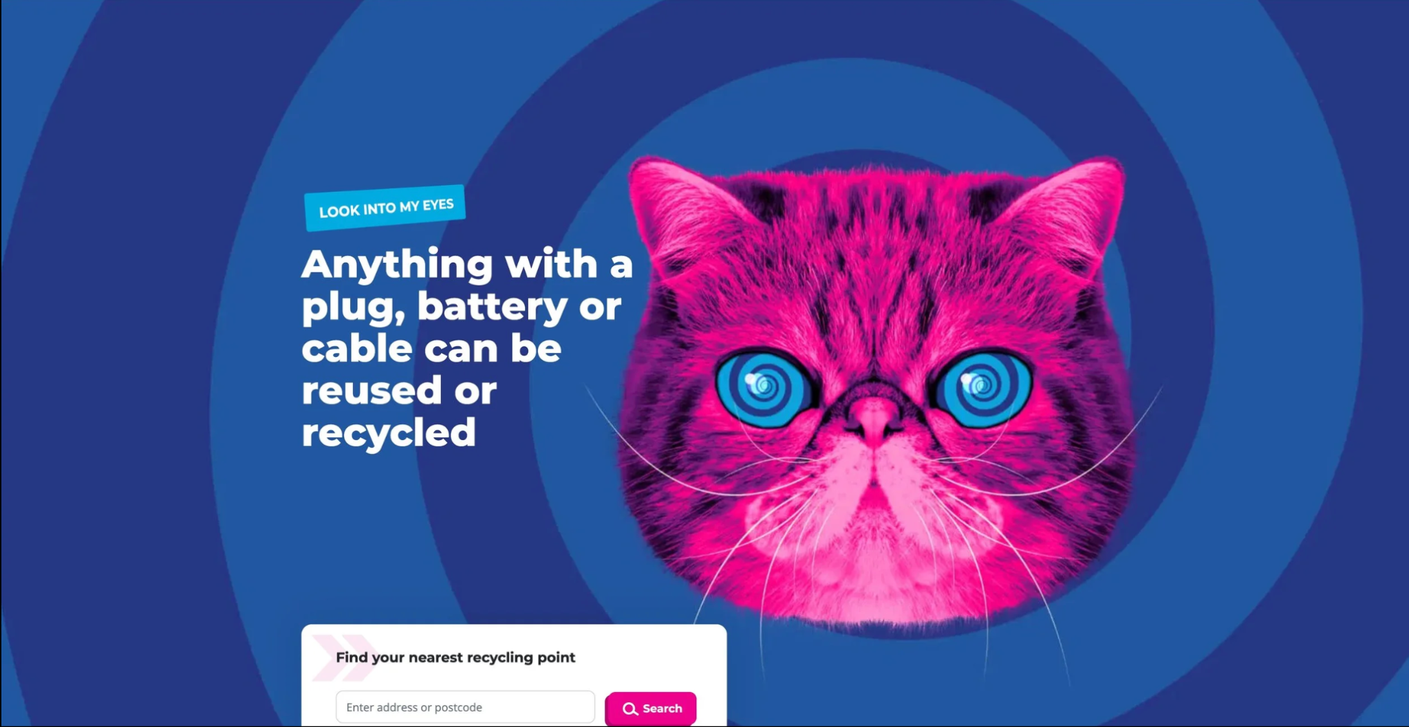 HypnoCat website execution